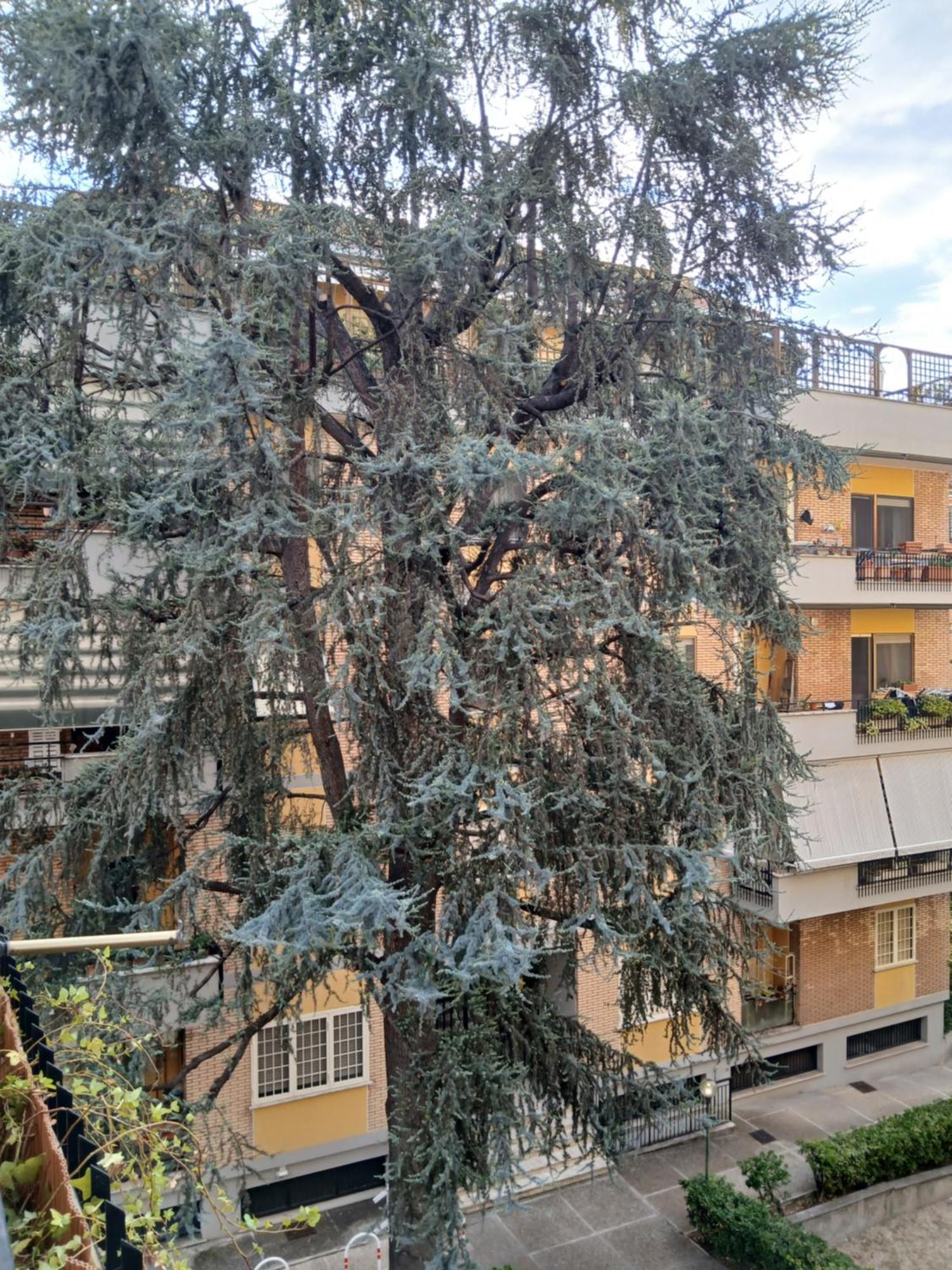 La Casa Di Antonella E Giuseppe Appartement Rome Buitenkant foto