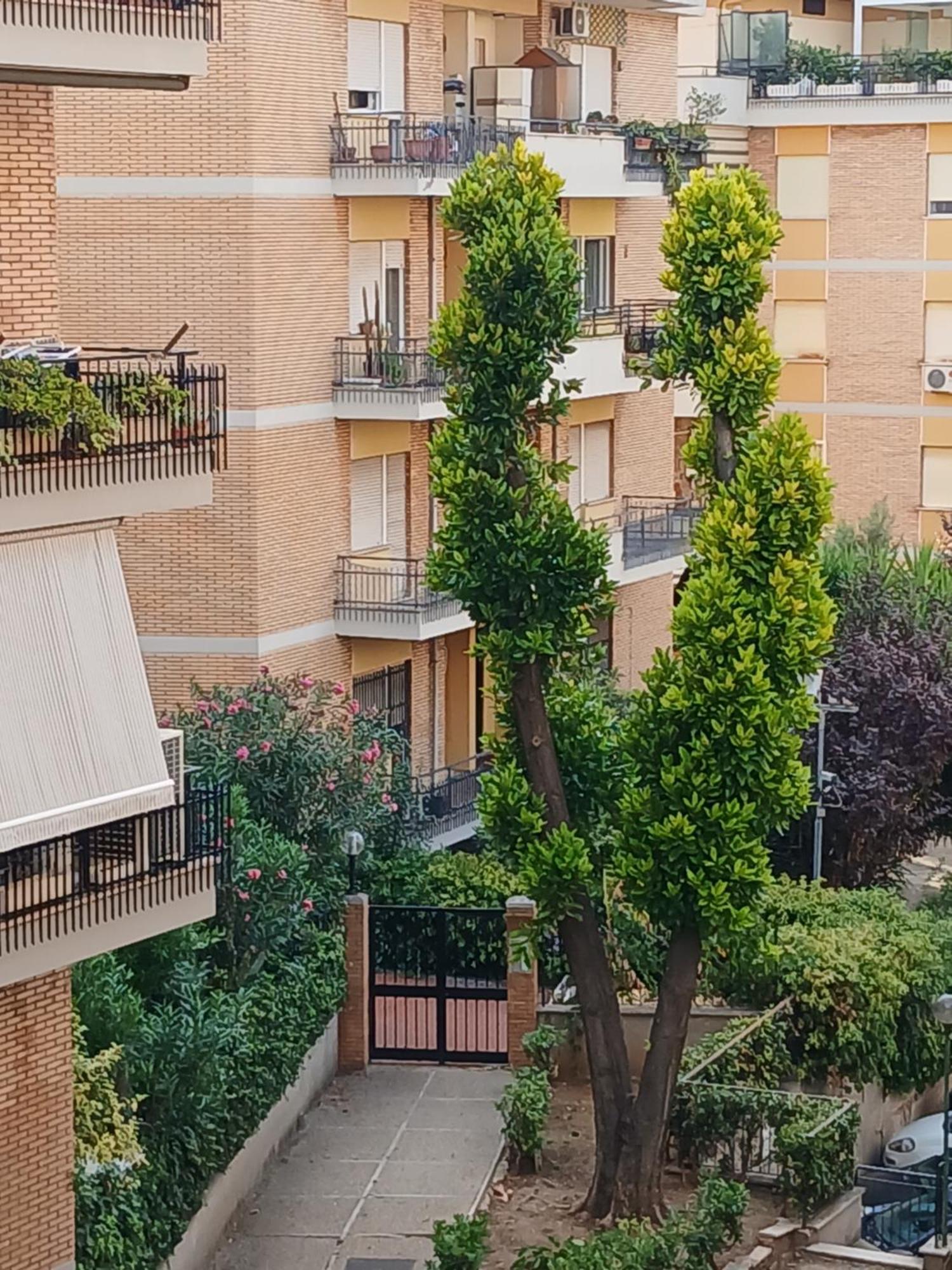 La Casa Di Antonella E Giuseppe Appartement Rome Buitenkant foto